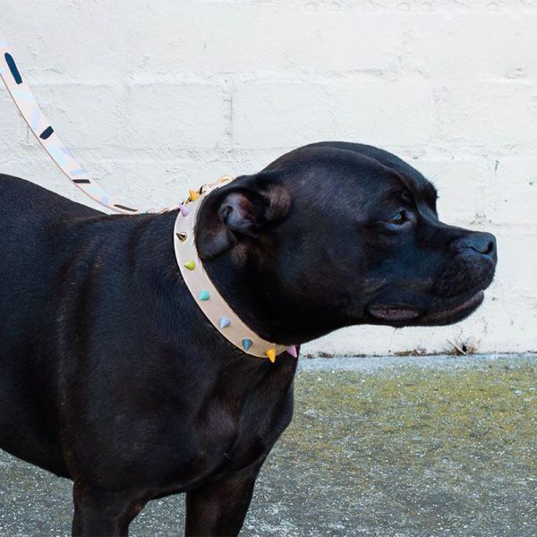 NICE DIGS Pastel Spike Leather Dog Collar