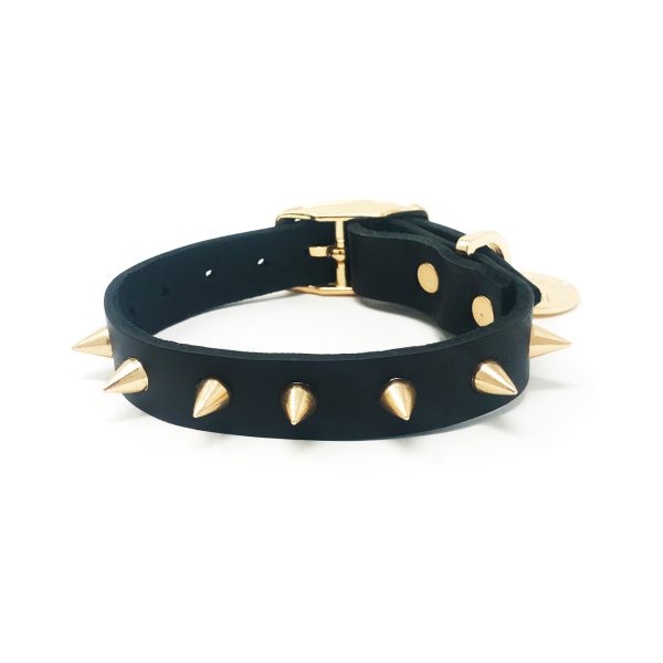 NICE DIGS Gold Spike Noir Leather Dog Collar