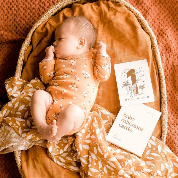 Gender Neutral Baby Milestone Cards- blush cream