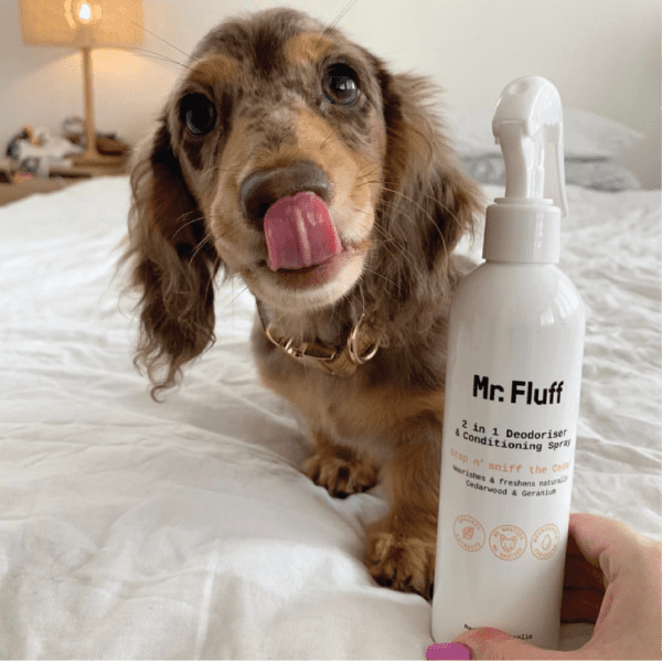 Stop n' Sniff the Cedar Natural Dog Wash Duo